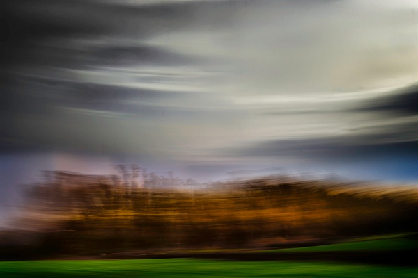 Trees and Sky - ICM - Nature Distilled - Roxanne Bouché Overton 