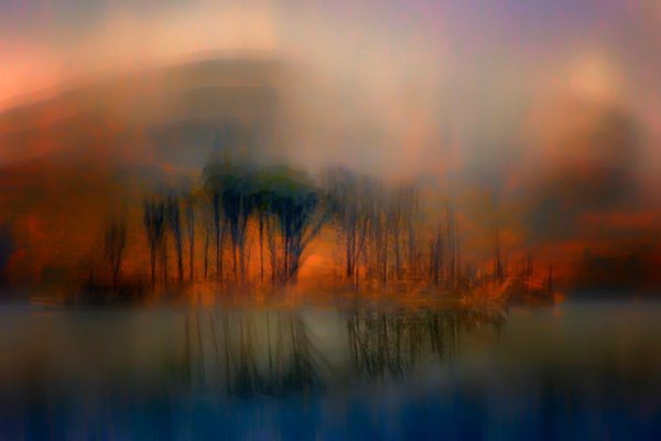 Trees and Atmosphere - ICM - Nature Distilled - Roxanne Bouché Overton