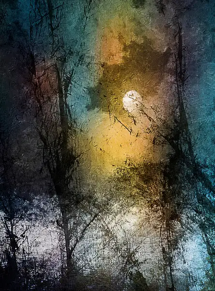 Full_Moon_Rising by Roxanne Bouché Overton