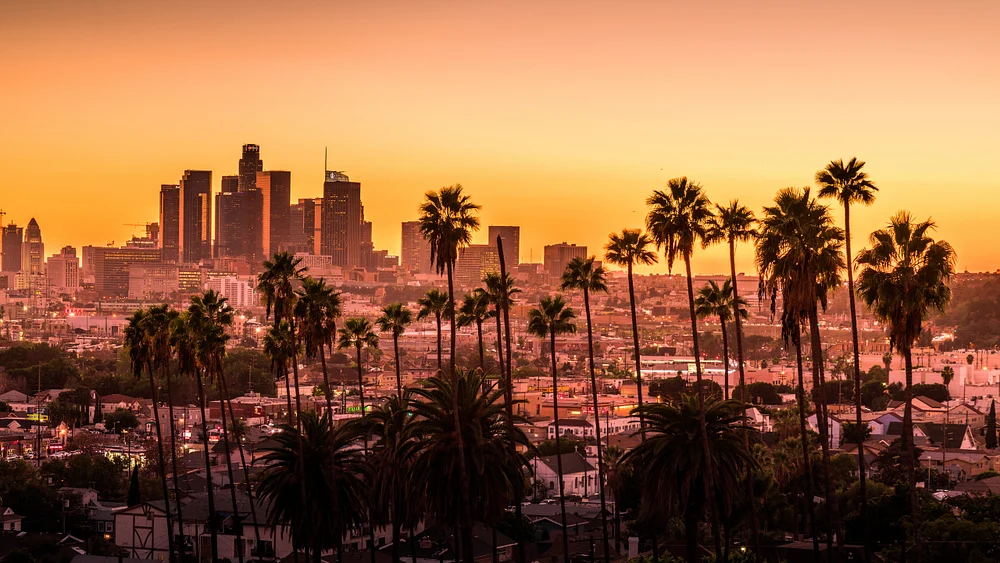 Sunset view over Los Angeles skyline with palm trees in the foreground, showcasing vibrant orange and pink hues in the sky.