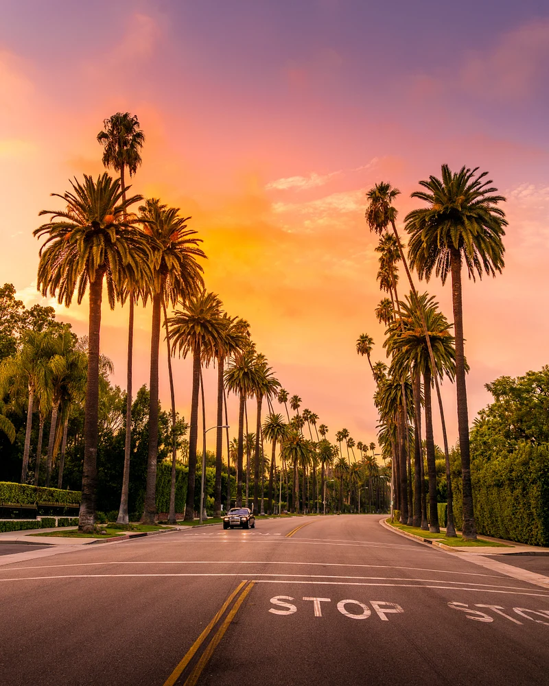 Sunset over a palm tree-lined street in Beverly Hills, showcasing vibrant orange and purple skies.