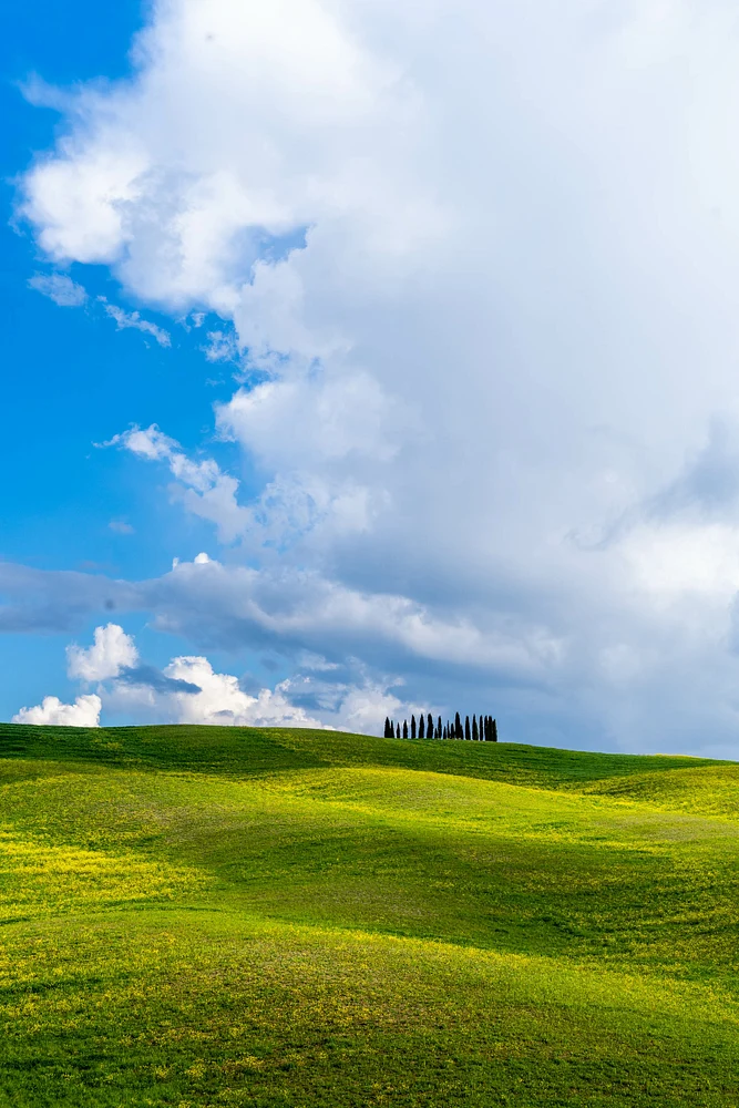 A serene Tuscany landscape featuring rolling green hills and a line of cypress trees under a blue sky with fluffy clouds.