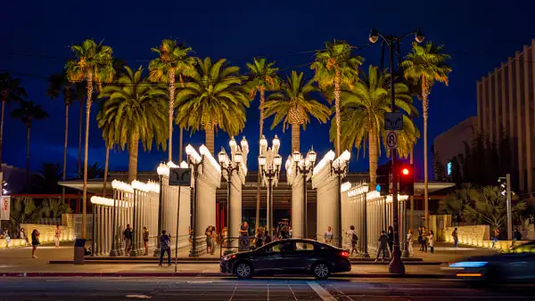 'Urban Lights' Los Angeles Lamp Lights by DEE POTTER