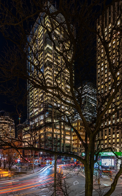 Toronto - Downtown Jungle