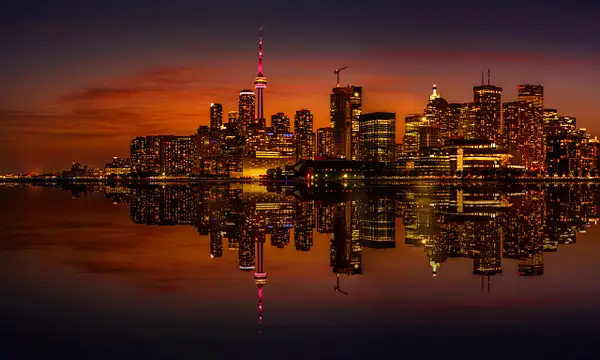 Toronto Gold Reflection by DEE POTTER