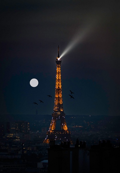 From Paris With Love - Home - Dee Potter Photography 