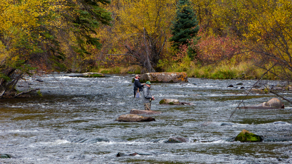 Fly fishing by Bruce Crair