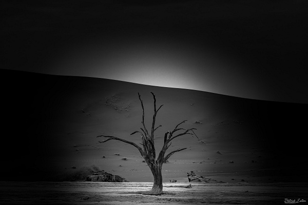 DEADVLEI 007 - Namibia - Patrick Eaton Photography 