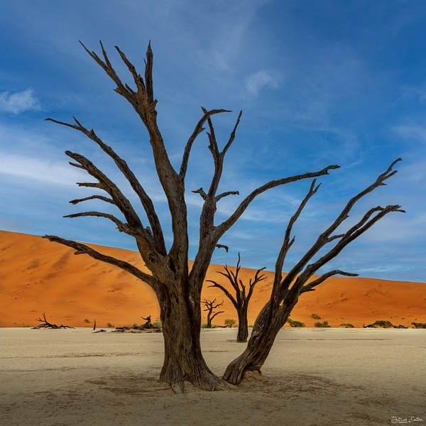 DEADVLEI 002 - Namibia - Patrick Eaton Photography