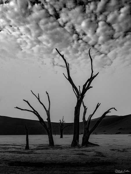 DEADVLEI 005 - Namibia - Patrick Eaton Photography