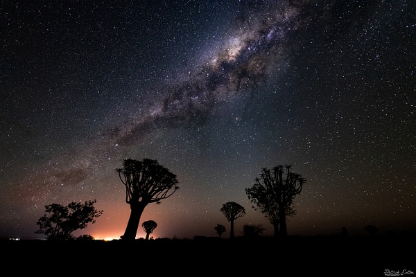 QUIVER TREE 002 - Namibia - Patrick Eaton Photography