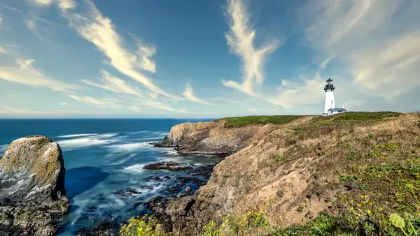 Oregon Lighthouse by Clifton Haley