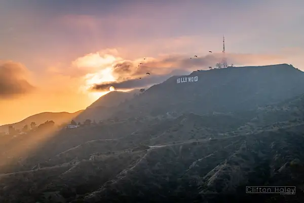 Hollywood Sign at Sunset by Clifton Haley