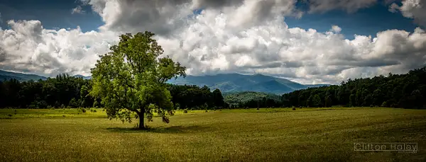 Cades Cove by Clifton Haley
