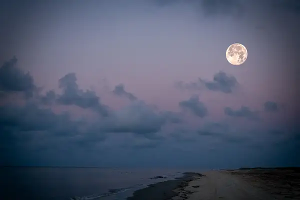 Moon Over Shoreline/Coastline by Clifton Haley