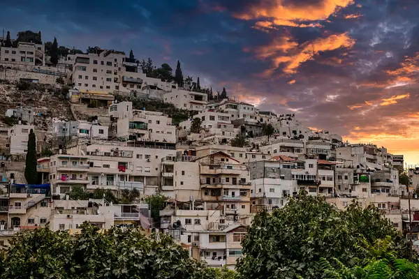 Jerusalem Hillside by Clifton Haley