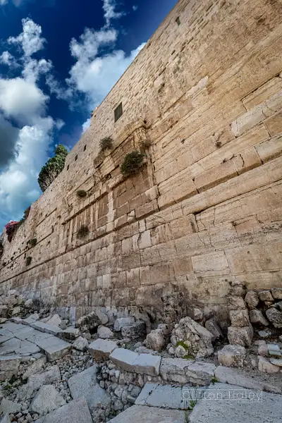 Temple Mount, Western Wall by Clifton Haley