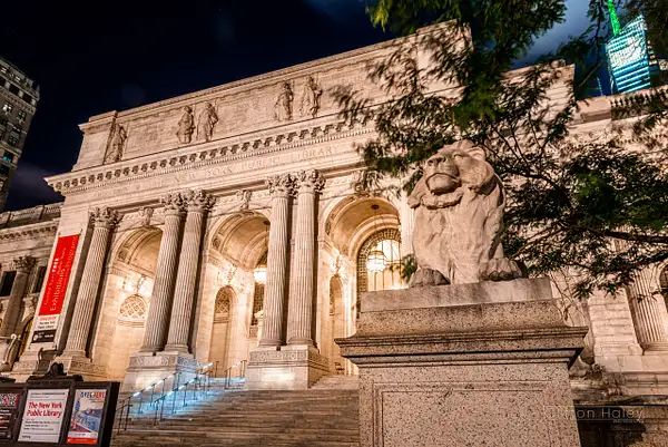 New York Library by Clifton Haley