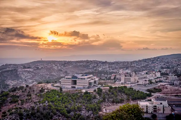 Israeli Hillside by Clifton Haley