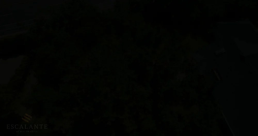 Willow Creek - Promo