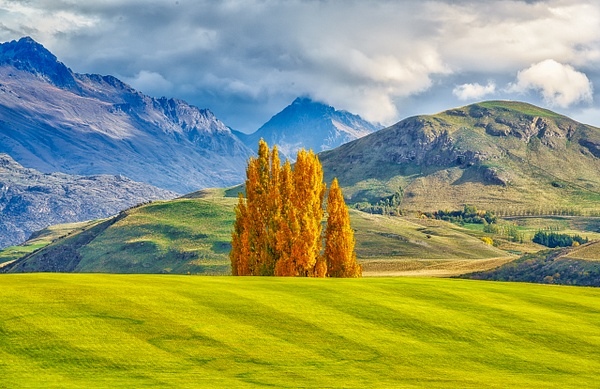 Fall Golf course - New Zealand - Kirit Vora Photography 