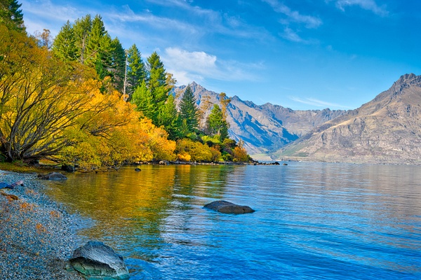 Fall colors on Lake - New Zealand - KiritVora 