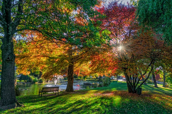 Queenstown Garden - New Zealand - KiritVora