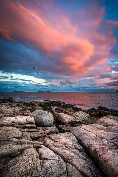 Pink sky Maine - Maine Acadia Park - KiritVora