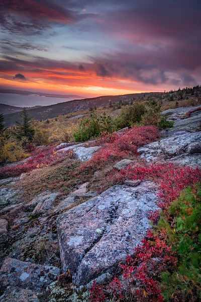 Sunset at Acadia - Maine Acadia Park - Kirit Vora Photography 