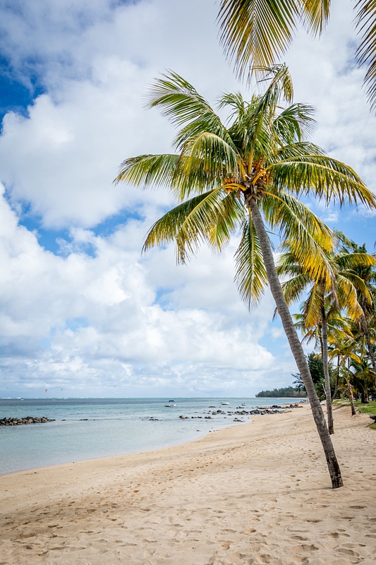 Mauritius-White-Beach