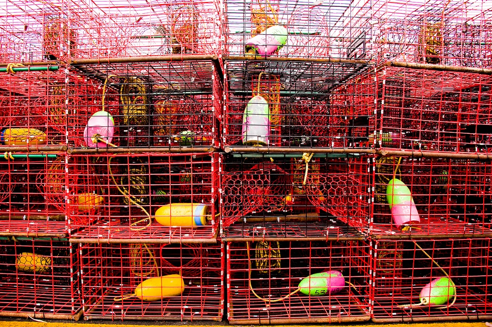 Lobster traps
