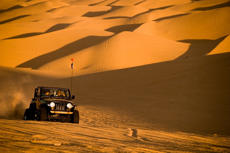 Cruising the dunes