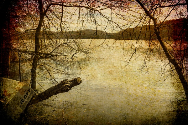 NY reservoir - Joanne Seador 