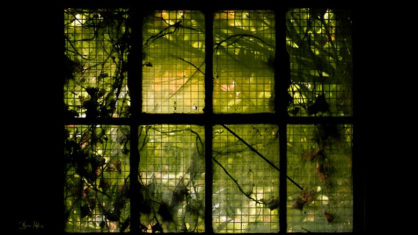 green window - Close-ups - Molin Photos 