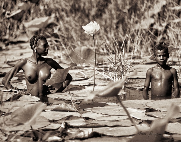 Water Lilies - Haiti in the 1970s - Sean Finnigan Photo 
