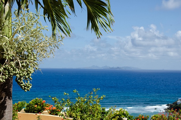 Summer Winds Villa -025 - Caribbean Scenes - Sean Finnigan Photo 