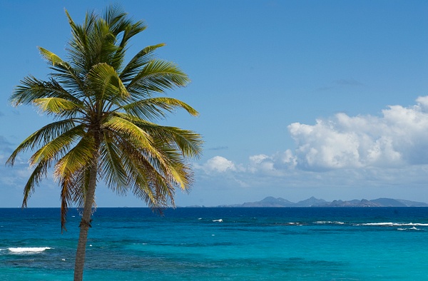 View of St Barts from Dawn Beach - Caribbean Scenes - Sean Finnigan Photo 