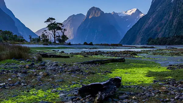 Milford Sound by Andreas Maier