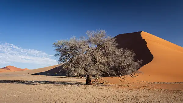 Namib-Naukluft National Park by Andreas Maier