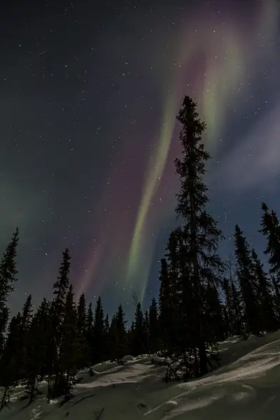 aurora borealis by Andreas Maier