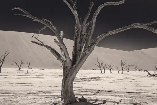 Deadvlei by Andreas Maier
