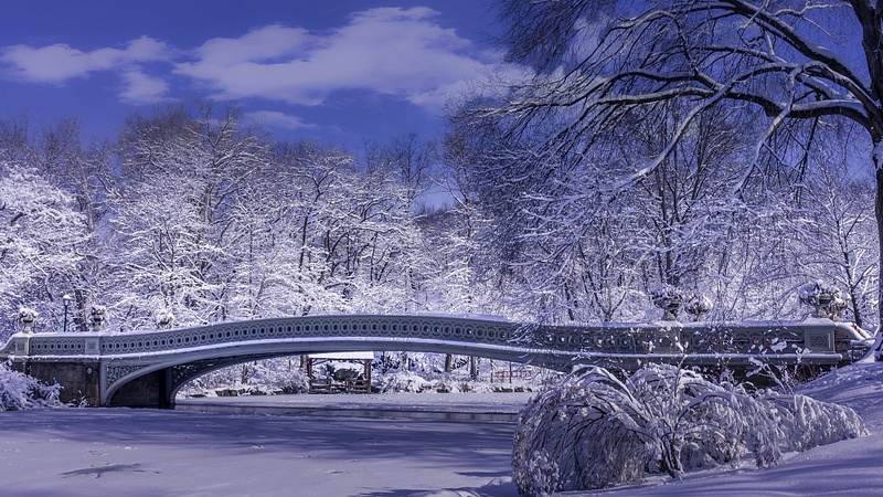 Bow Bridge (Winter)