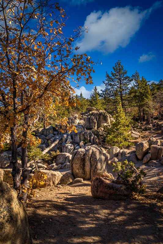 Castle Rock Trail 6
