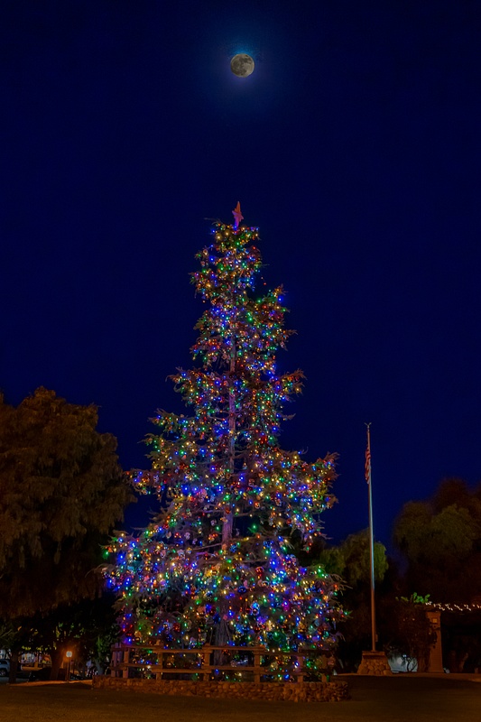 Christmas Tree Moon