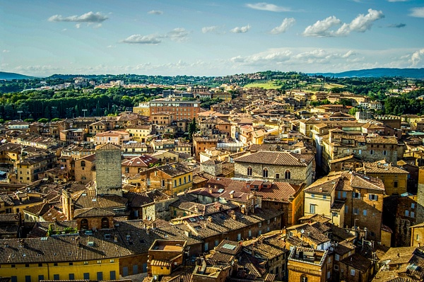 Rooftops of Siena, Tuscany - Arian Shkaki 