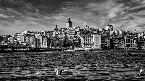 The Bosphorus and The Galata Tower, Istanbul - Black and White - Arian Shkaki Photography 