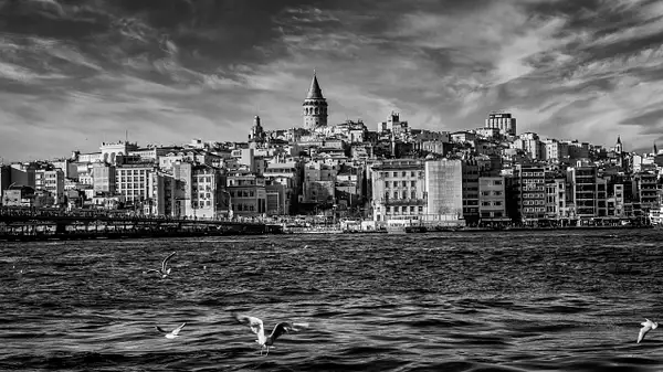 The Bosphorus and The Galata Tower, Istanbul by Arian...