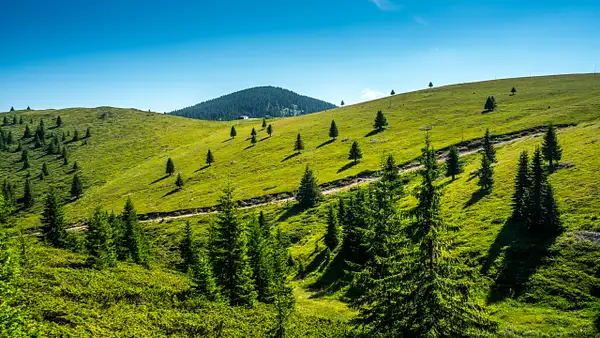 Rhodope Mountains by Arian Shkaki