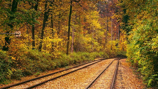 Tram line through the forest - United Colours of Bulgaria - Arian Shkaki Photography