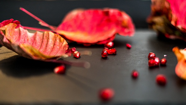 Pomegranate - От изолатора 